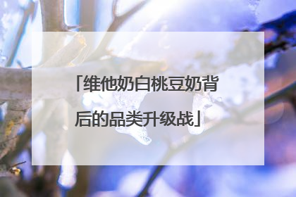 维他奶白桃豆奶背后的品类升级战