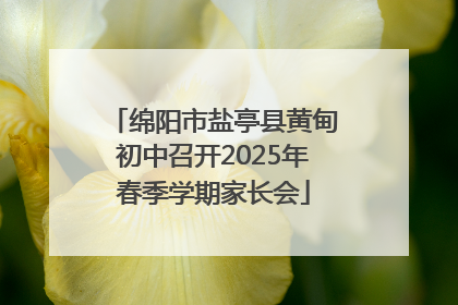 绵阳市盐亭县黄甸初中召开2025年春季学期家长会