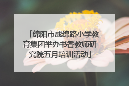 绵阳市成绵路小学教育集团举办书香教师研究院五月培训活动
