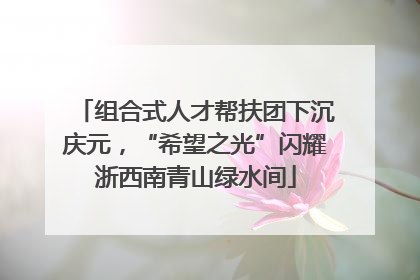 组合式人才帮扶团下沉庆元，“希望之光”闪耀浙西南青山绿水间