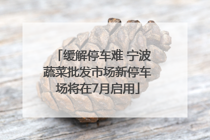缓解停车难 宁波蔬菜批发市场新停车场将在7月启用