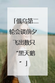 俄乌第二轮会谈前夕 飞出数只 “黑天鹅”