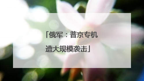 俄军：普京专机遭大规模袭击