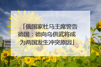 俄国家杜马主席警告德国：德向乌供武将成为两国发生冲突原因