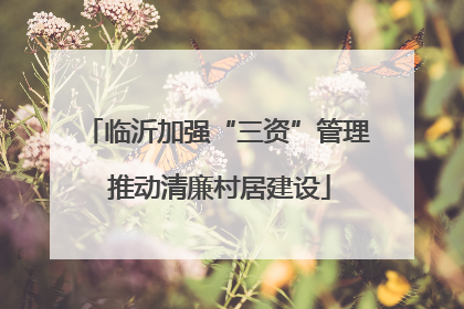 临沂加强“三资”管理 推动清廉村居建设