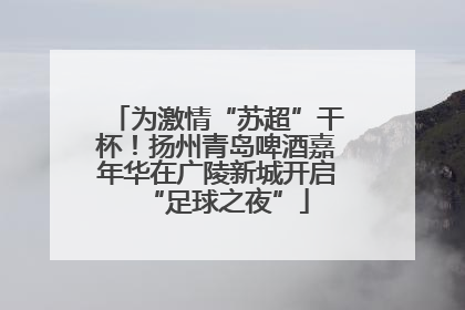 为激情“苏超”干杯！扬州青岛啤酒嘉年华在广陵新城开启“足球之夜”