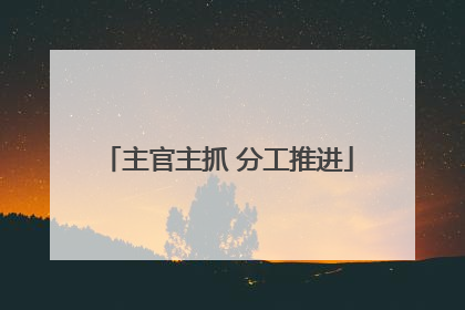 主官主抓 分工推进