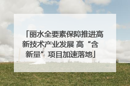 丽水全要素保障推进高新技术产业发展 高“含新量”项目加速落地
