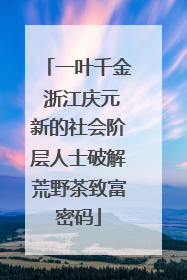 一叶千金 浙江庆元新的社会阶层人士破解荒野茶致富密码