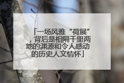 一场风雅“荷展”，背后是相隔千里两地的渊源和令人感动的历史人文情怀