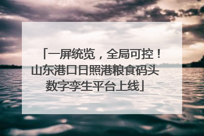 一屏统览，全局可控！山东港口日照港粮食码头数字孪生平台上线