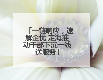 一链响应，速解企忧 定海推动干部下沉一线送服务