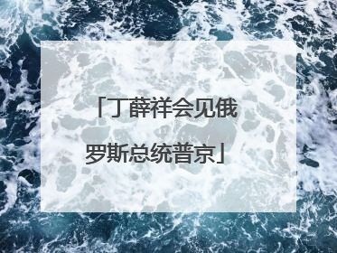 丁薛祥会见俄罗斯总统普京
