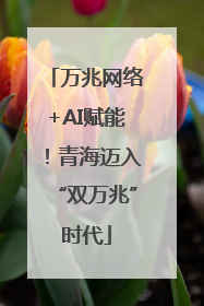 万兆网络+AI赋能！青海迈入“双万兆”时代