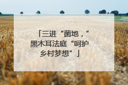 三进“菌地，”黑木耳法庭“呵护乡村梦想”