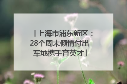 上海市浦东新区：28个周末倾情付出 军地携手育英才