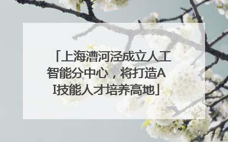 上海漕河泾成立人工智能分中心，将打造AI技能人才培养高地