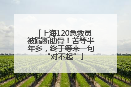 上海120急救员被踹断肋骨！苦等半年多，终于等来一句“对不起”