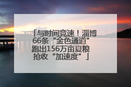 与时间竞速！淄博66条“金色通道”跑出156万亩夏粮抢收“加速度”