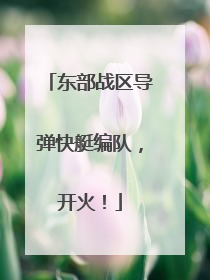 东部战区导弹快艇编队，开火！