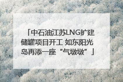 中石油江苏LNG扩建储罐项目开工 如东阳光岛再添一座“气墩墩”