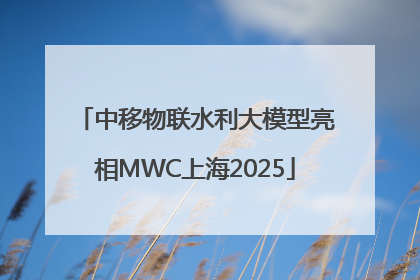 中移物联水利大模型亮相MWC上海2025