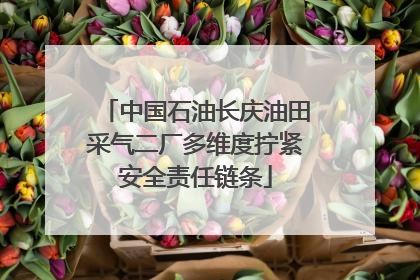中国石油长庆油田采气二厂多维度拧紧安全责任链条