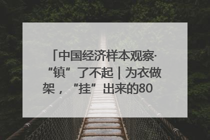 中国经济样本观察·“镇”了不起｜为衣做架，“挂”出来的80亿元“衣架产业”