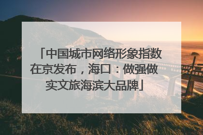 中国城市网络形象指数在京发布，海口：做强做实文旅海滨大品牌