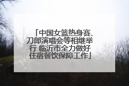 中国女篮热身赛、刀郎演唱会等相继举行 临沂市全力做好住宿餐饮保障工作