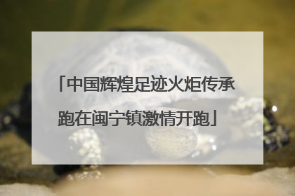 中国辉煌足迹火炬传承跑在闽宁镇激情开跑