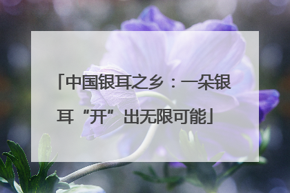 中国银耳之乡：一朵银耳“开”出无限可能