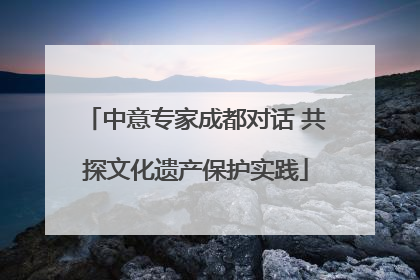 中意专家成都对话 共探文化遗产保护实践