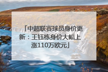 中超联赛球员身价更新：王钰栋身价大幅上涨110万欧元