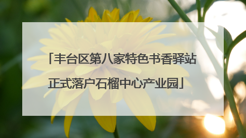 丰台区第八家特色书香驿站正式落户石榴中心产业园