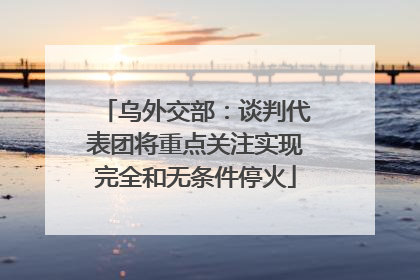 乌外交部：谈判代表团将重点关注实现完全和无条件停火