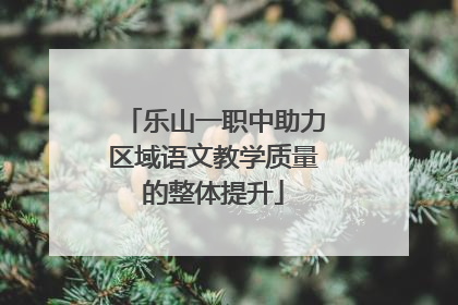 乐山一职中助力区域语文教学质量的整体提升