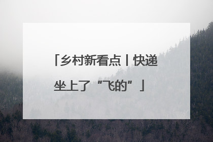 乡村新看点丨快递坐上了“飞的”