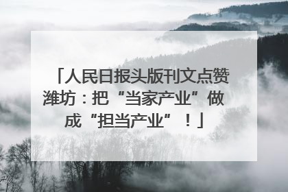 人民日报头版刊文点赞潍坊：把“当家产业”做成“担当产业”！