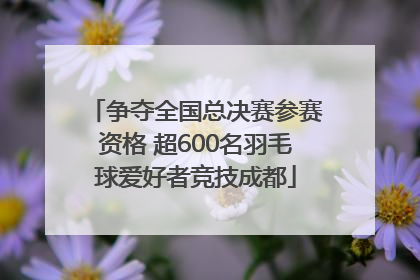 争夺全国总决赛参赛资格 超600名羽毛球爱好者竞技成都