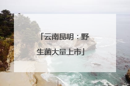 云南昆明：野生菌大量上市