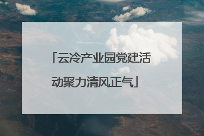 云冷产业园党建活动聚力清风正气