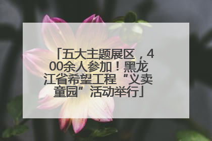 五大主题展区，400余人参加！黑龙江省希望工程“义卖童园”活动举行