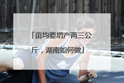 亩均要增产两三公斤，湖南如何做