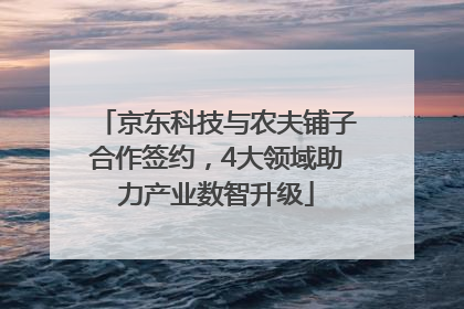 京东科技与农夫铺子合作签约，4大领域助力产业数智升级