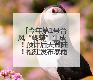 今年第1号台风“蝴蝶”生成！预计后天登陆！福建发布暴雨警报