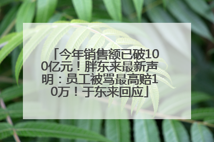 今年销售额已破100亿元！胖东来最新声明：员工被骂最高赔10万！于东来回应