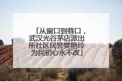 从窗口到巷口，武汉光谷茅店派出所社区民警樊艳玲为民初心永不改