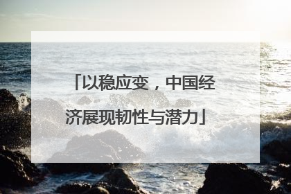 以稳应变，中国经济展现韧性与潜力