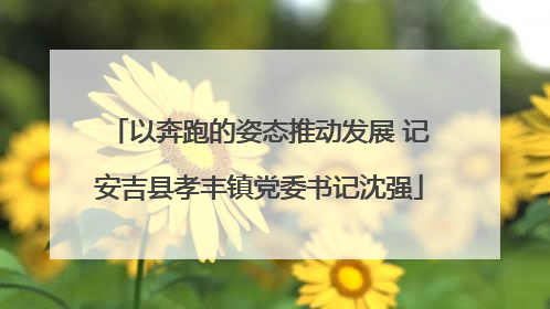 以奔跑的姿态推动发展 记安吉县孝丰镇党委书记沈强